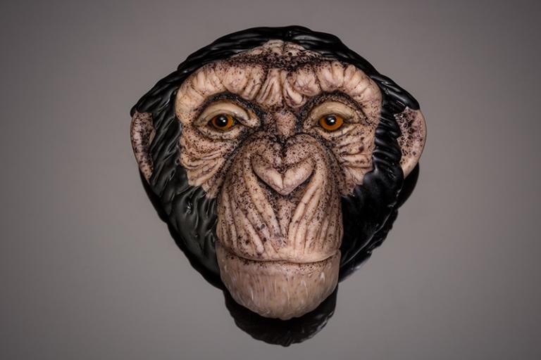 Flameworked head of a monkey by Joy Munshower